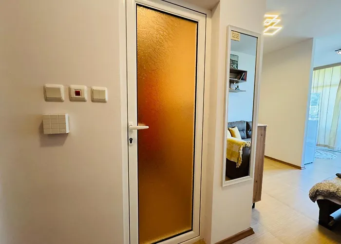 Grand Kamelia B 2,8 Large Sunny Daire