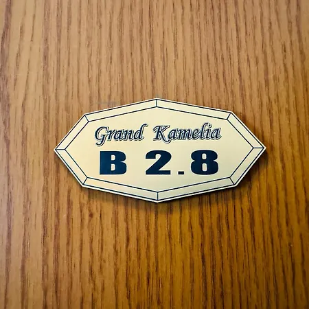 Grand Kamelia B 2,8 Large Sunny *